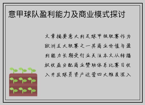 意甲球队盈利能力及商业模式探讨